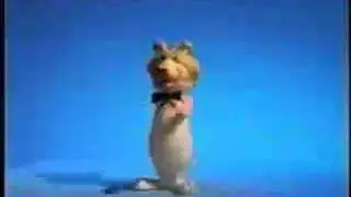 Boomerang From Cartoon Network- Launch Intro April 1st 2000