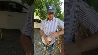 Профессор на Лимонаде / ГАРДЕЙ И ИВАНЫЧ 