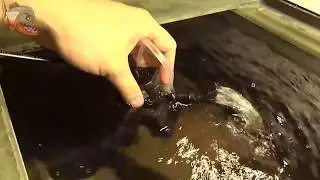 Aquael PAT Mini - filter for shrimp tank