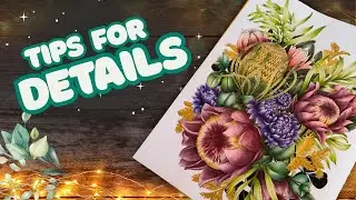 Spotlight Tutorial | Coloring Small & Detailed Elements | Leila Duly’s Beautiful Planet