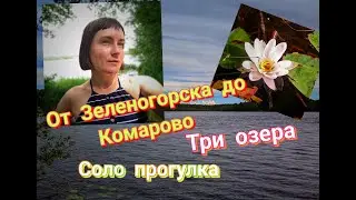 От Зеленогорска до Комарово. Три озера. Одиночный поход.