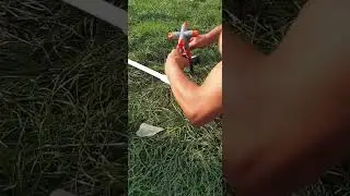 Полив для газона