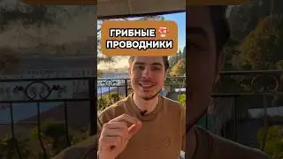 Для чего нужен проводник ?