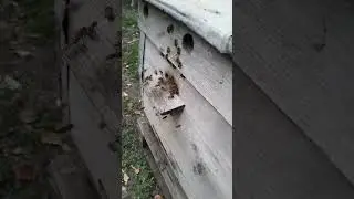 Вечерние облёты...