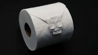 ORIGAMI TOILET PAPER SKULL  (Jo Nakashima)