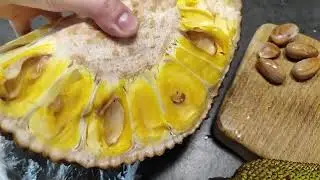 Экзотические растения и их фрукты