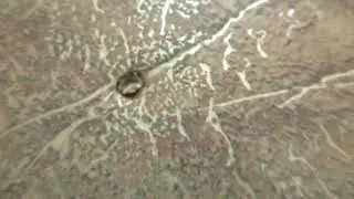 Пробил линолеум чем заделать? I broke through the linoleum with what to fix?