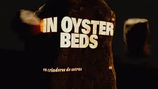 Pixies - Oyster Beds (Official Lyric Video)