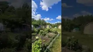 Пасека и чудесная погода!