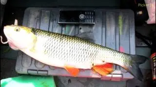 Сплав по реке Оскол. Часть 2.