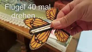 Wunderflieger, der fliegende Schmetterling