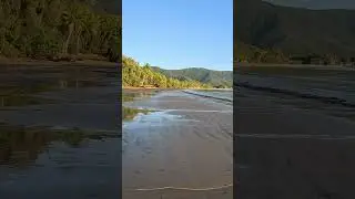 Can you spot the Crocodile on the beach?.. #travel #virtualhike #Virtualrun #treadmillworkout