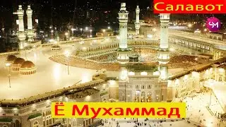 Салавот бар Мухаммад  2020
