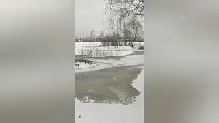 Один день в ноябре