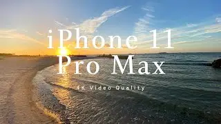 iPhone 11 Pro Max Camera 4K Video Test: Beach Sunset - Tampa Florida