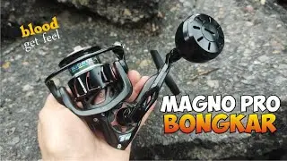 REEL MAGNO PRO DARI BLOOD