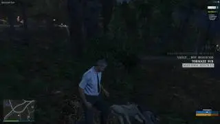 GTA 5 RP Maddyson: Эпизод III: Месть пумы