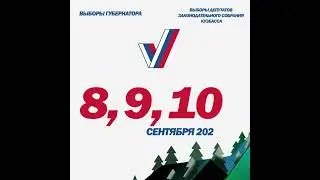 Выборы!