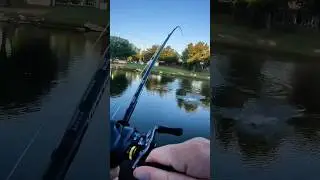 The BEST August Bass Fishing Lure Strikes Again!