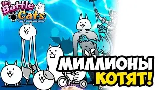 The Battle Cats ☯ МИЛЛИОНЫ КОТЯТ! ☯