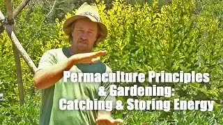 Permaculture Principles - Catching and Storing Energy