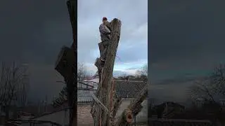 Оно нам надо ? 