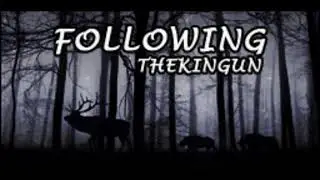 Following  - TheKingun