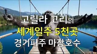 Conquer the Majang Lake Swinging Bridge! Gorilla Ring Paju Outing Great Video Each! Gorilla Ring'...