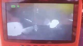 Колюха 5
