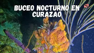 Buceo Nocturno en Curazao