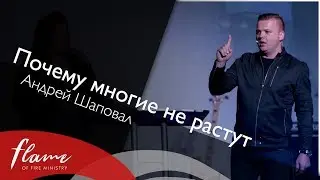 Почему многие не растут - Андрей Шаповал