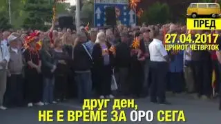 Да беше Пајо цвеќе, немаше да го газат!