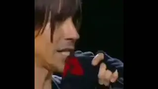 04 By the way, insane in Poland
