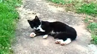 Jazzy AKA Bo-Dara playing with her new phone