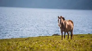 Story behind my Award Winning Shot | Tarsar Marsar Lake Kashmir | Ep 2