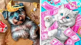 We built secret houses for pets! Poor dog vs. rich cat!