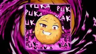 Kaito Shoma - Puka Kaka