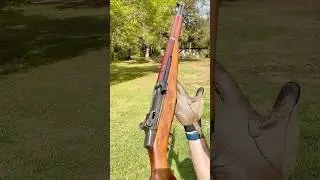 Springfield M1 Garand .30-06