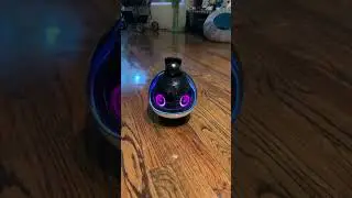 Ebo X (w/Alexa) - Robot Attitude 💁‍♀️ 