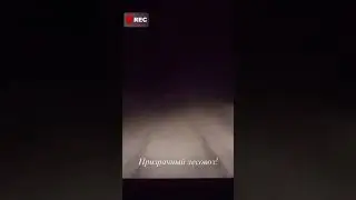 ПРИЗРАЧНЫЙ ЛЕСОВОЗ!
