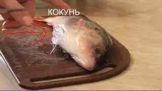 Быстрая чистка окуня и судака в домашних условиях.
