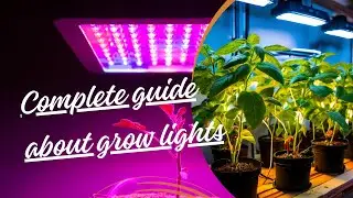 Grow Lights For Houseplants Guide | How to Choose Grow Light for Indoor Plants