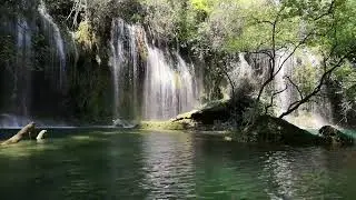 🌟Relaxing Sounds River Stream with Waterfall in Distance