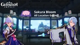 [GUIDE] All Sakura Bloom Farming Route Location Inazuma Region | Genshin Impact