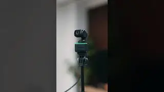 Look YOUR BEST on Every Call with Insta360 Link