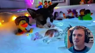 Dude sa olid Pewdiepie7