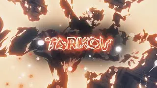 Tarkov.🔥