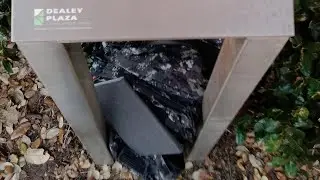 The First 