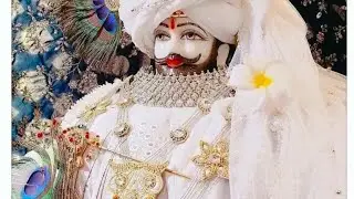 श्री श्याम दर्शन