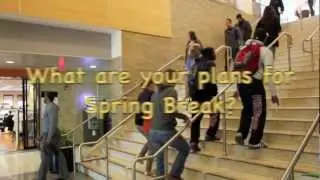 WP Spring Break: Where are you going?